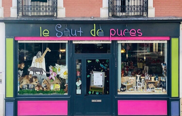 Le Saut de Puces 3