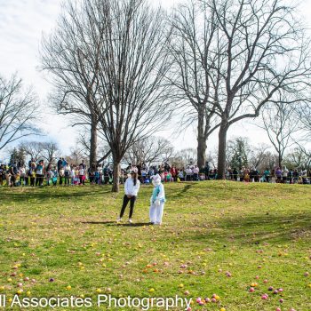 Spring Egg Hunt 2