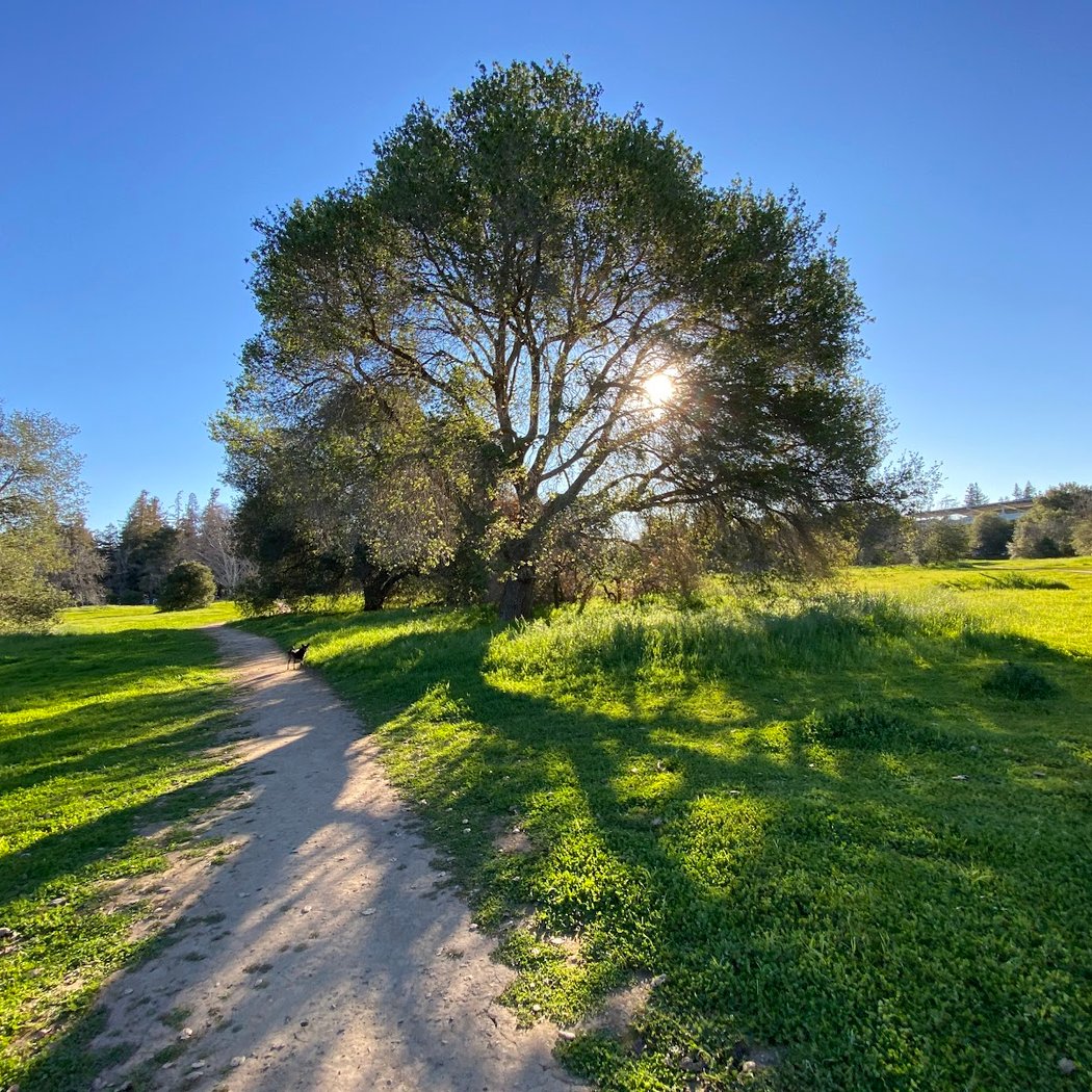 Cuesta Park Annex 1
