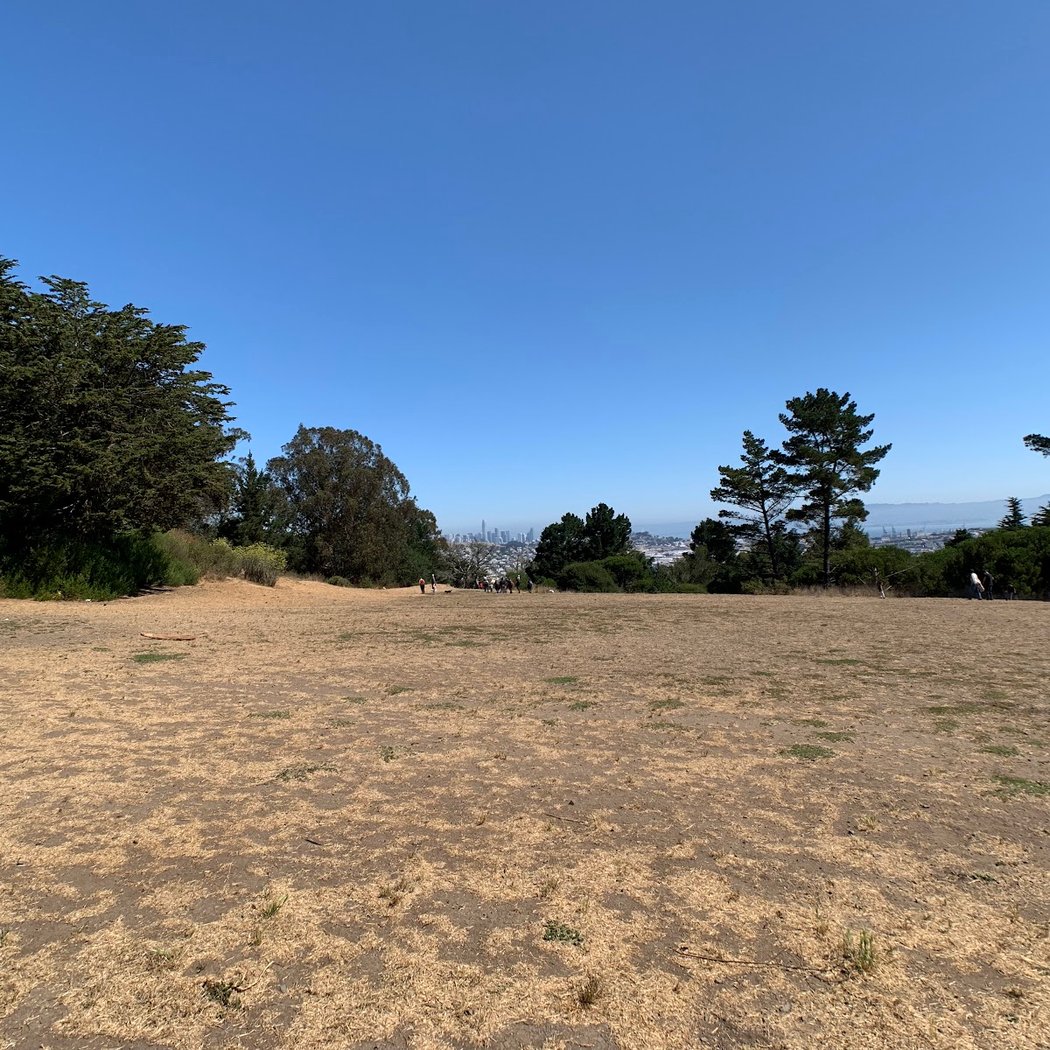 McLaren Park Dog Play Area 2 2