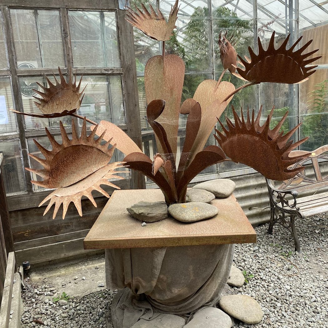 Yerba Buena Nursery 1