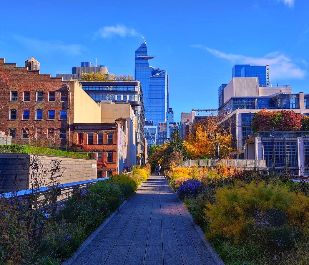 Celebrating City Nature: Insights from NYC Greenspaces 2