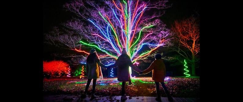 Lightscape 1
