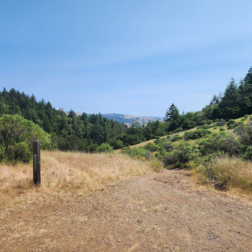 White Hill Preserve 2