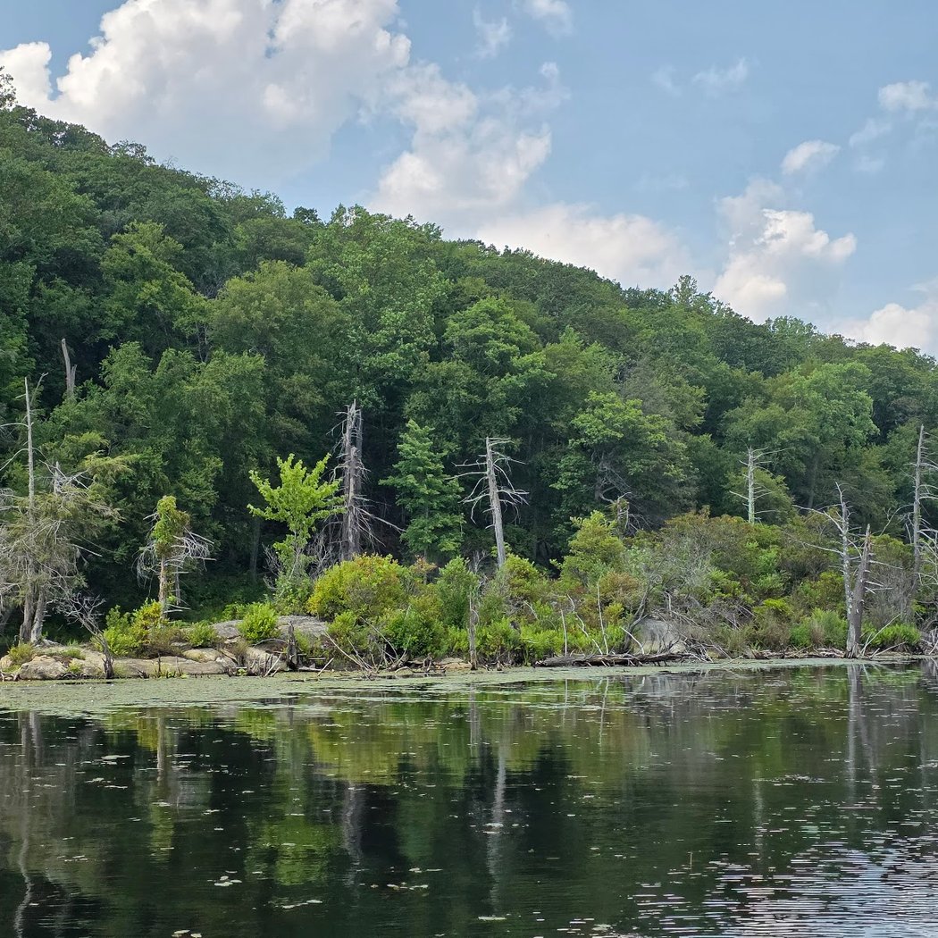 Canopus Lake Beach 2
