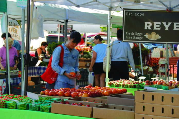 Healdsburg Farmer's Market 4