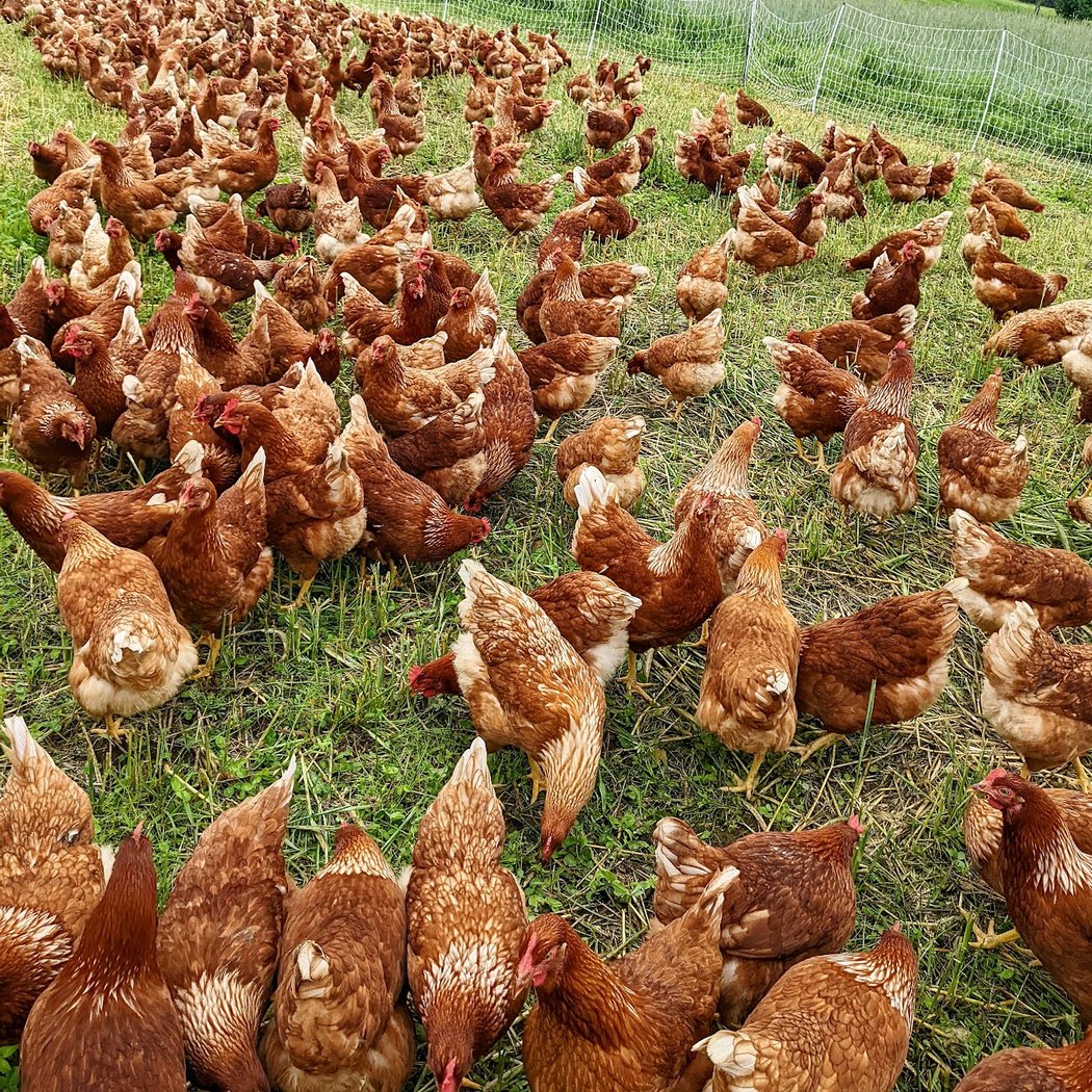 Titusville Farm 2