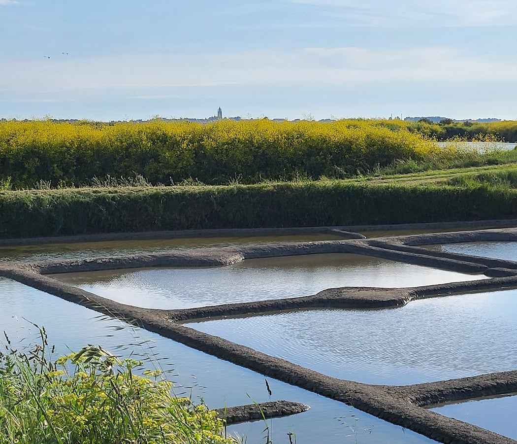 Marais salants 2