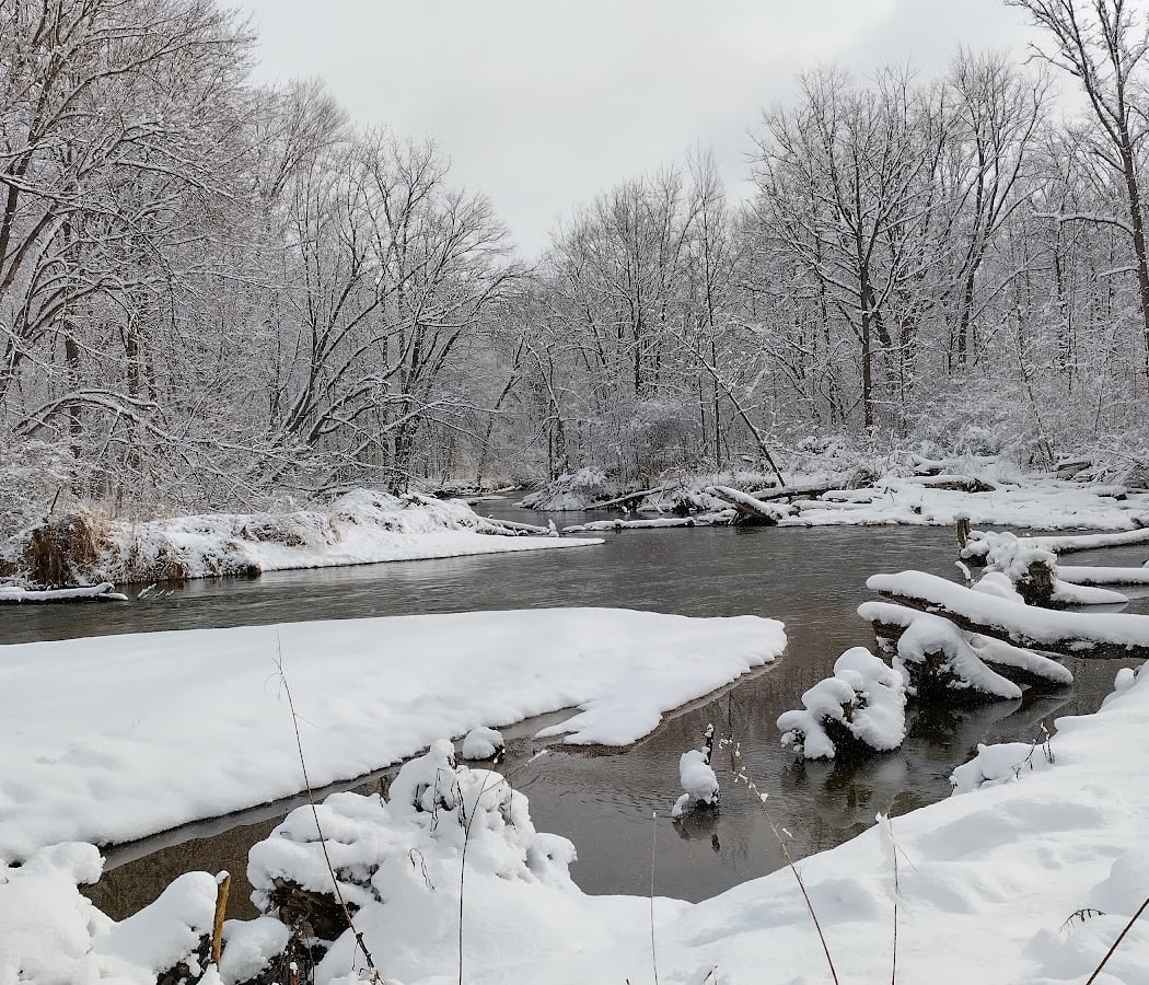 Finding Animals in Winter 1