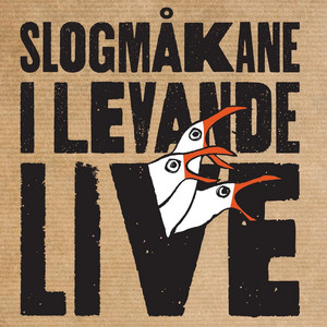 Slogmåkane at Skudefestivalen 3
