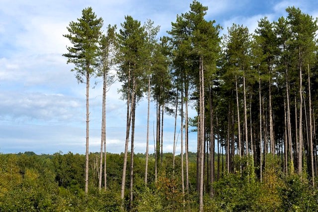 Domaine régional de la Boucle de Moisson 1
