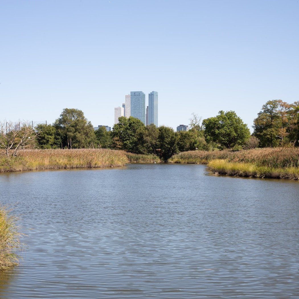 Lincoln Park West Wetlands & Nature Trail 3