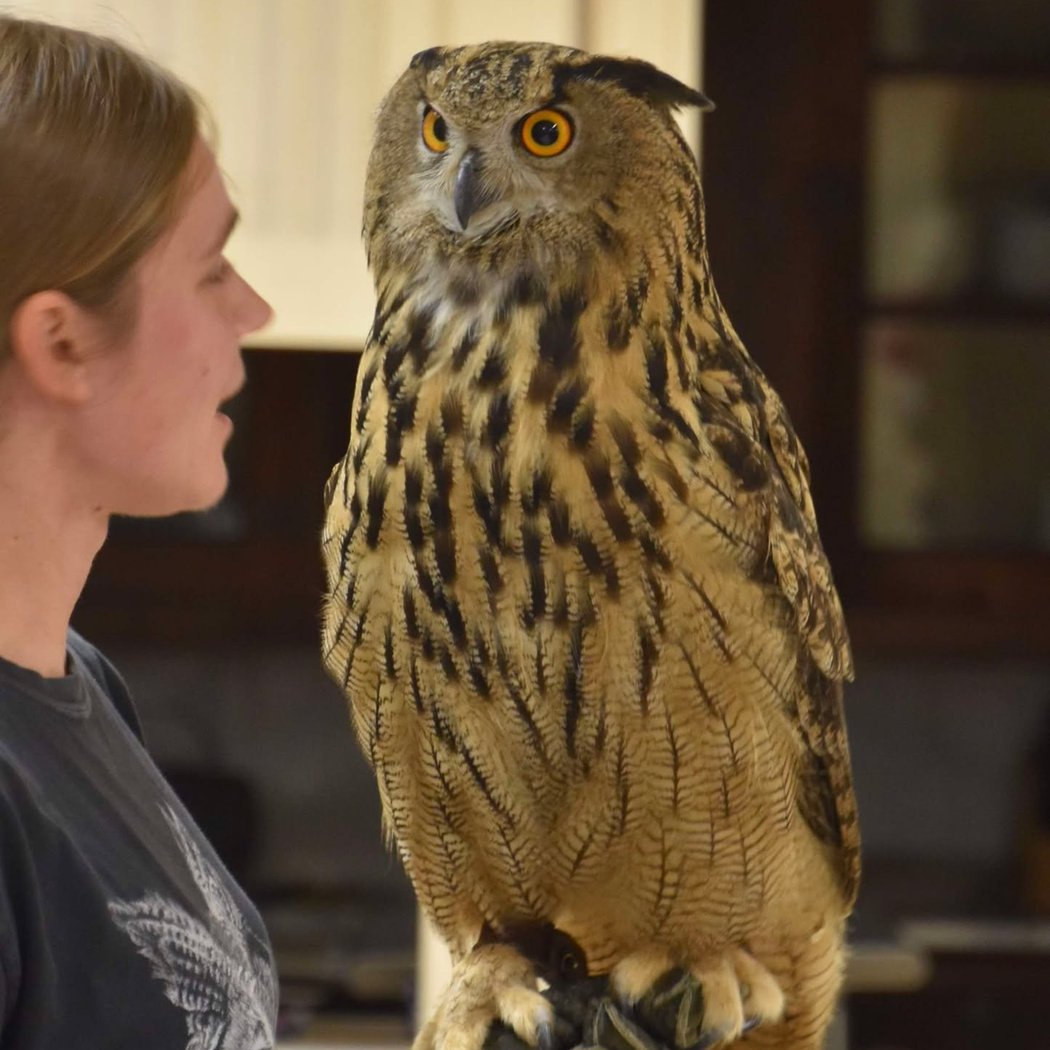 An Evening with Dr. Laura Jaworski and Raptor Ambassadors 1