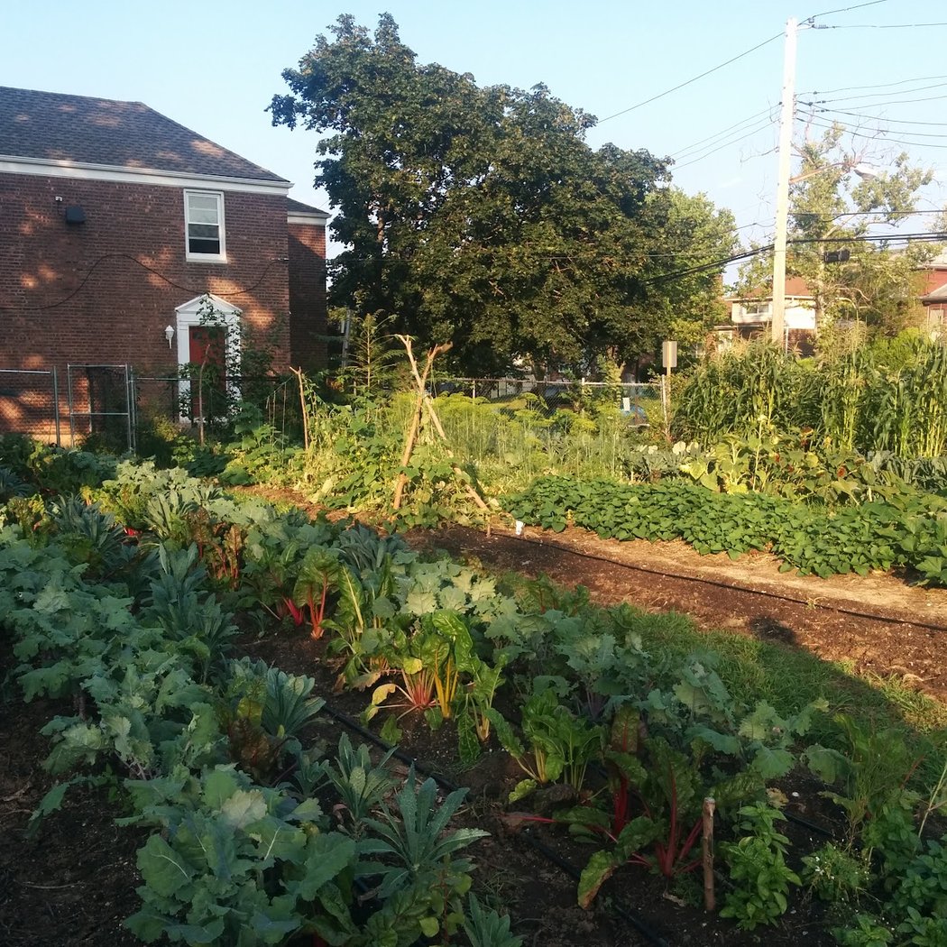 Project EATS Fairway Gardens 2