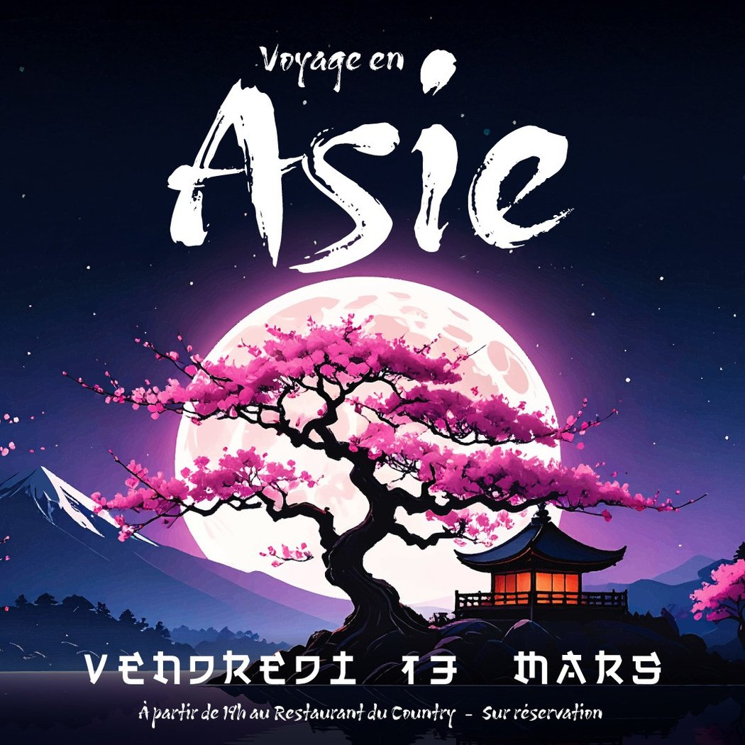 SOIRÉE ASIATIQUE 1