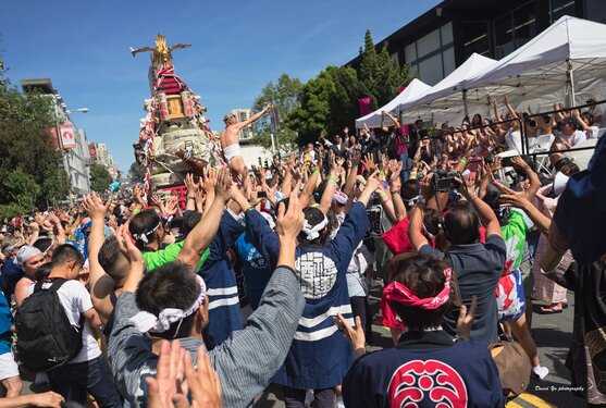 Northern California Cherry Blossom Festival 1