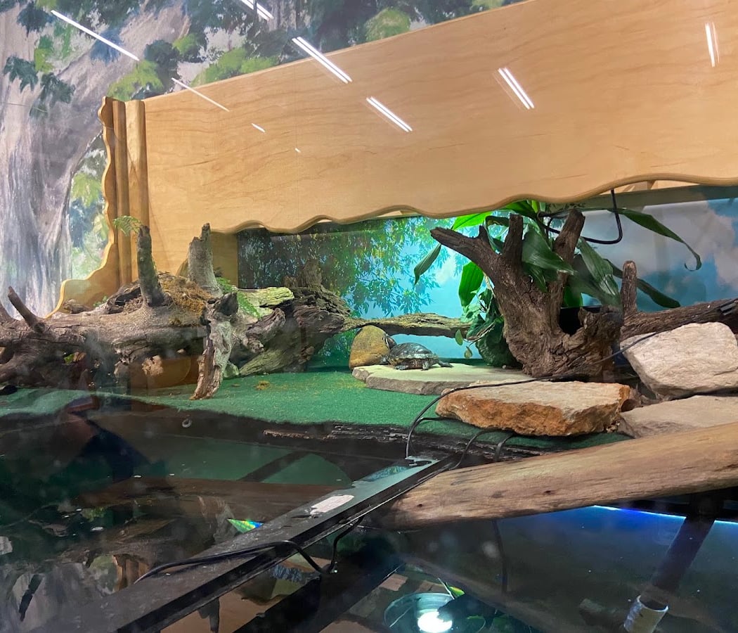 Eagle Creek Park Earth Discovery Center 1