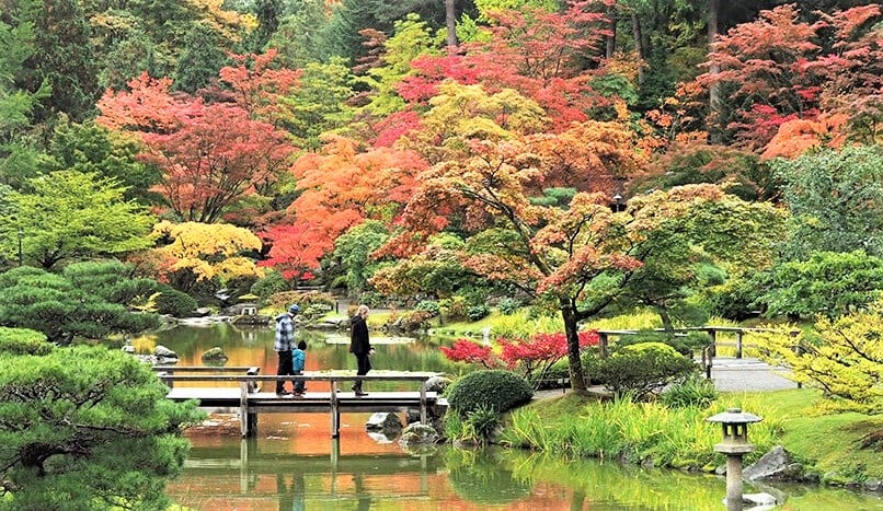 Hatsumomiji 1