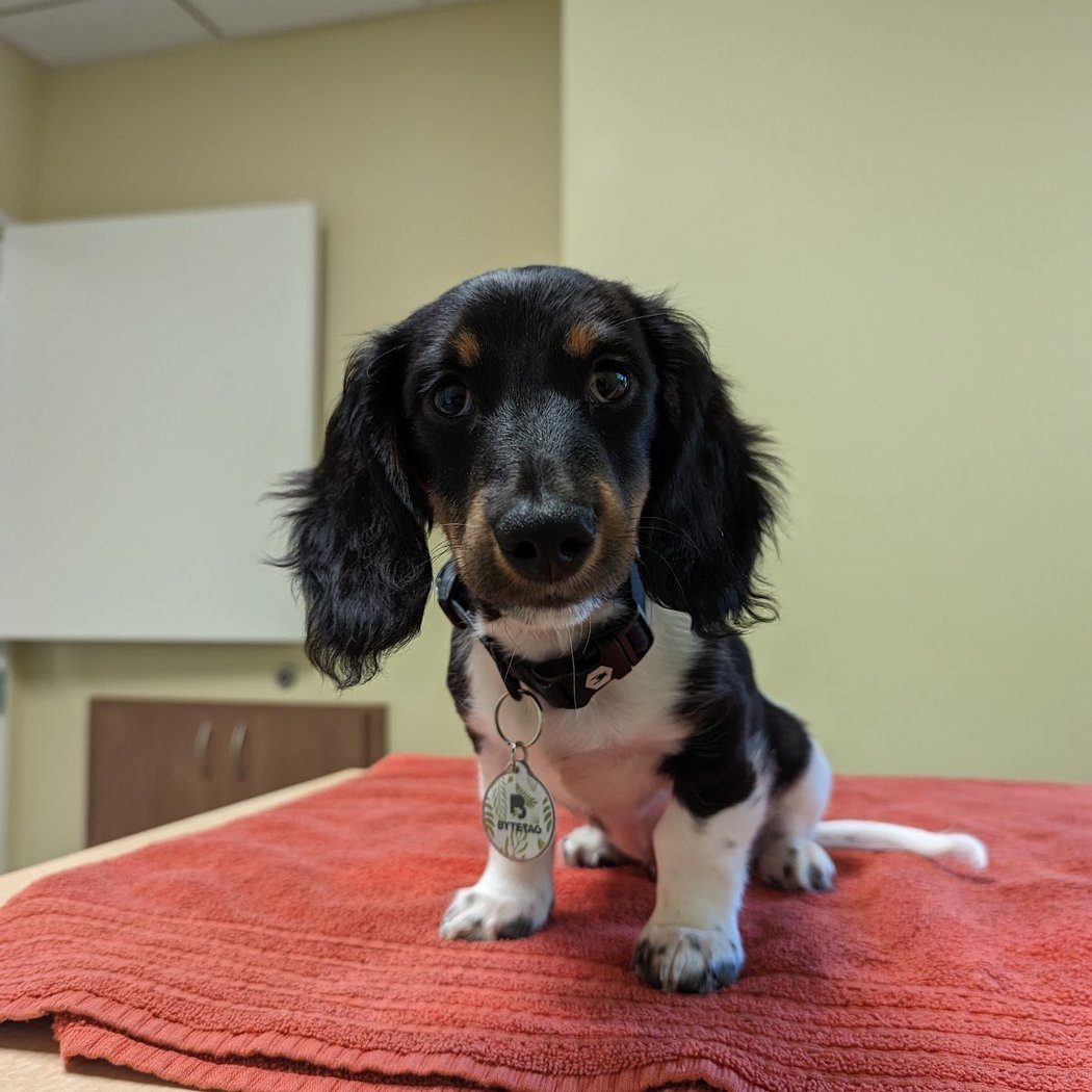 Theater View Veterinary Clinic 1