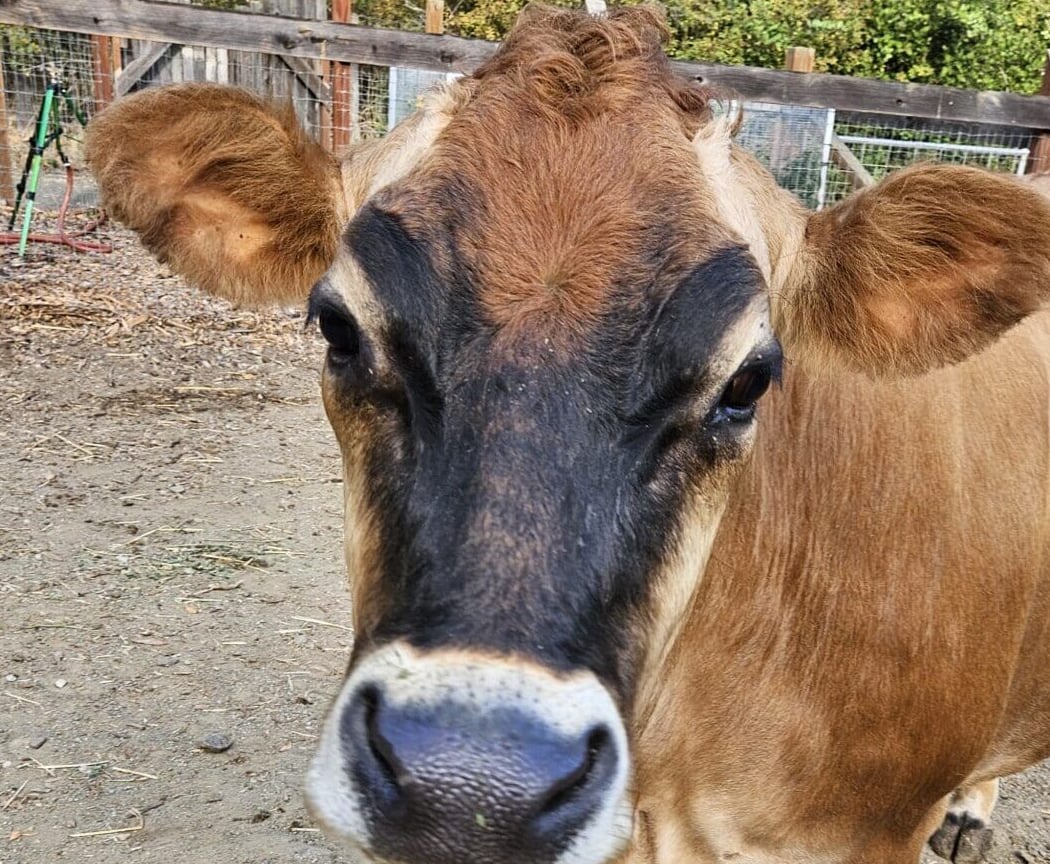 Weekend Farm Tour 1