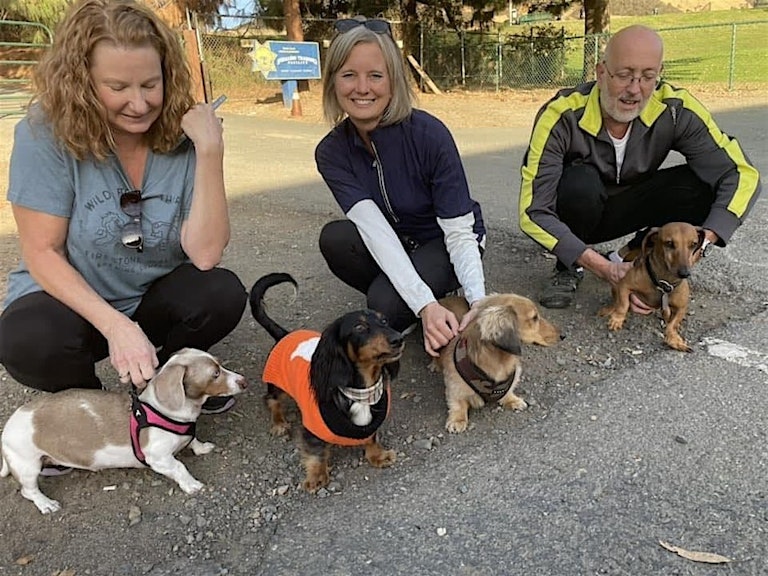 Munch and Friends, a Dachshund Hike and Meetup