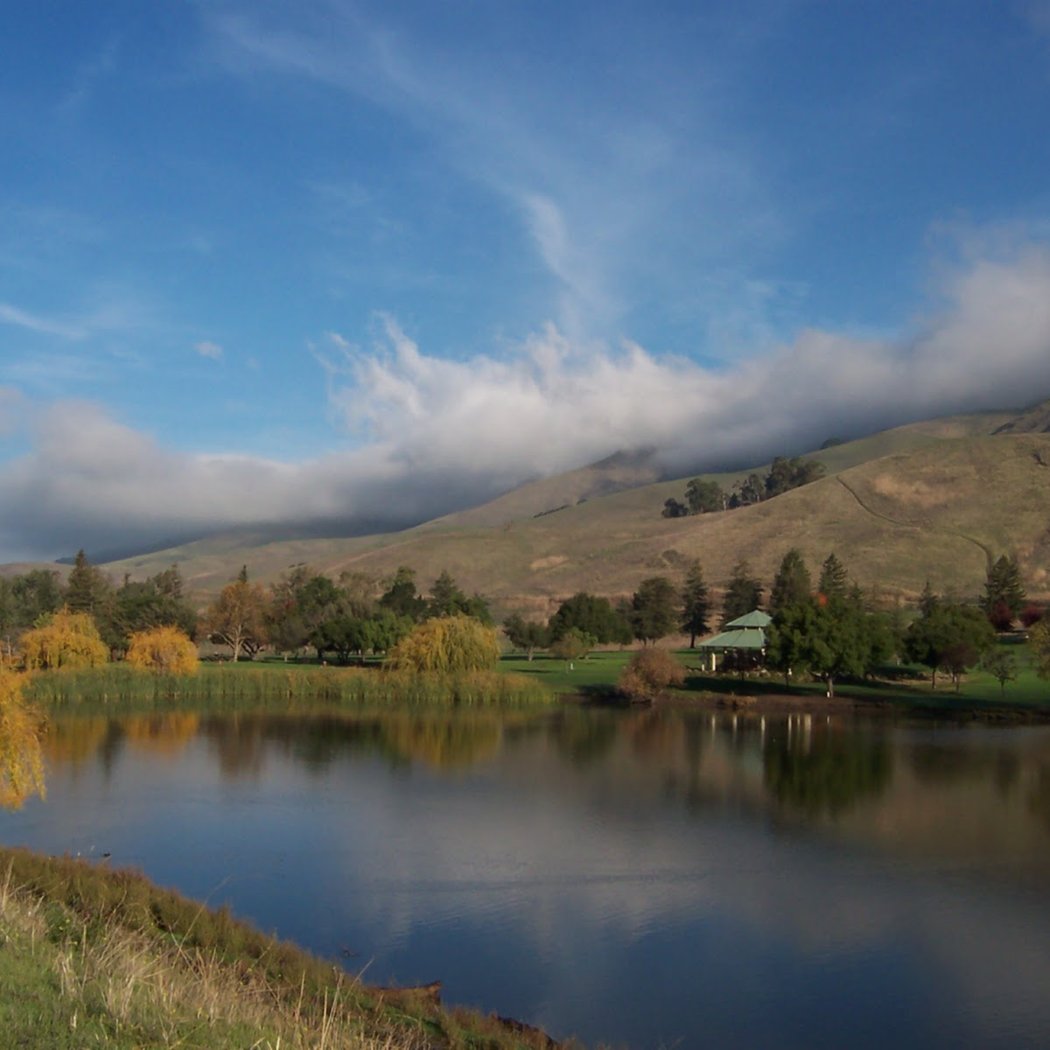 Bird Watching at Ed R. Levin County Park 2