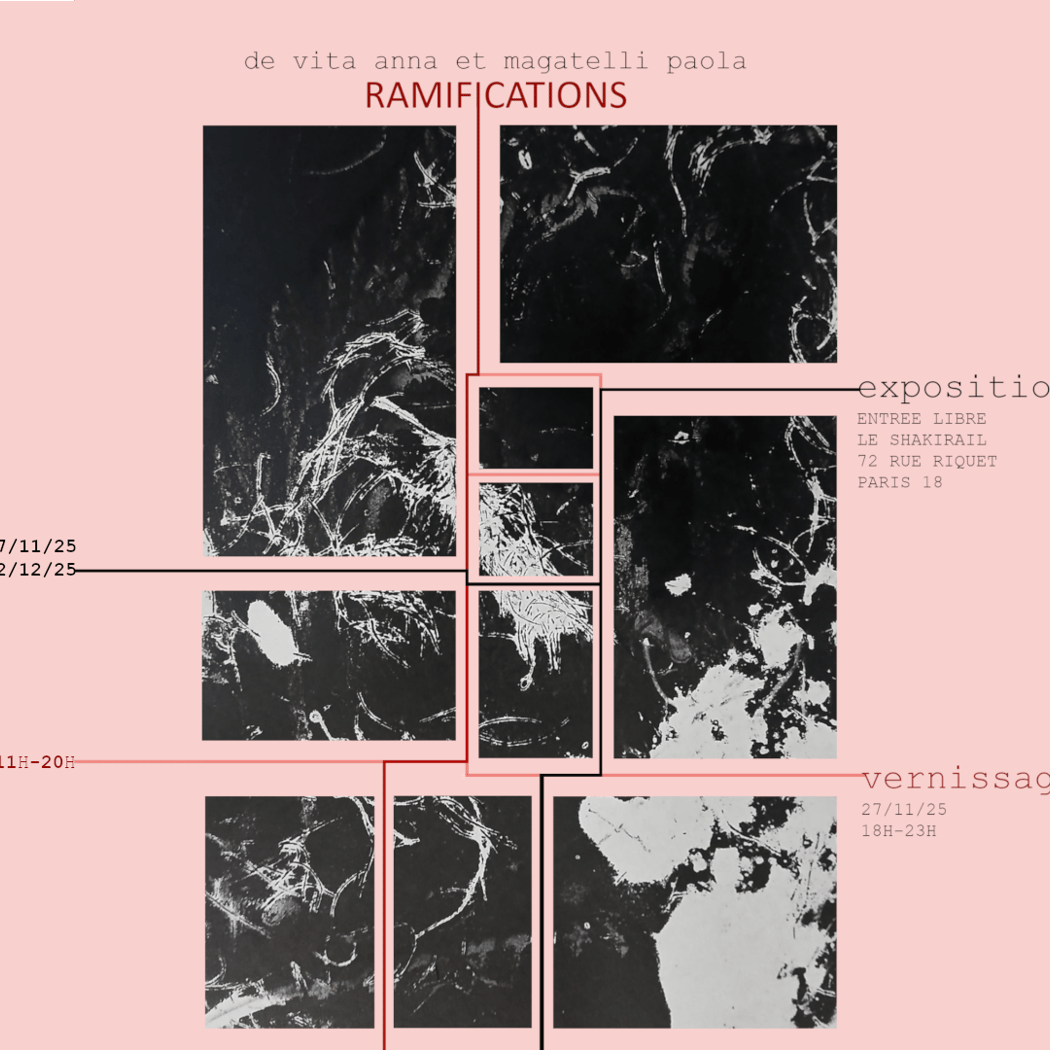 Ramifications 1