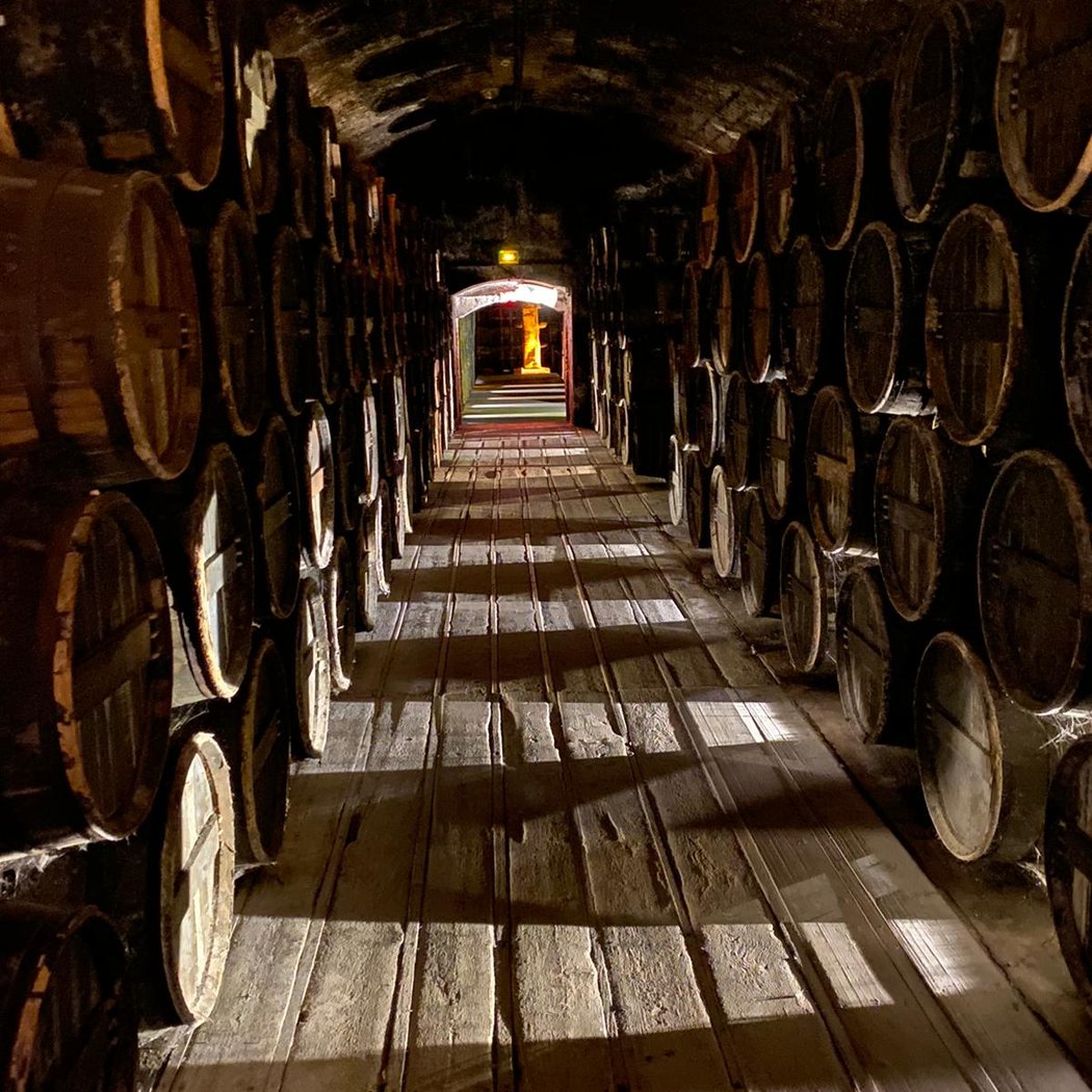 Royal Castle of Cognac 1