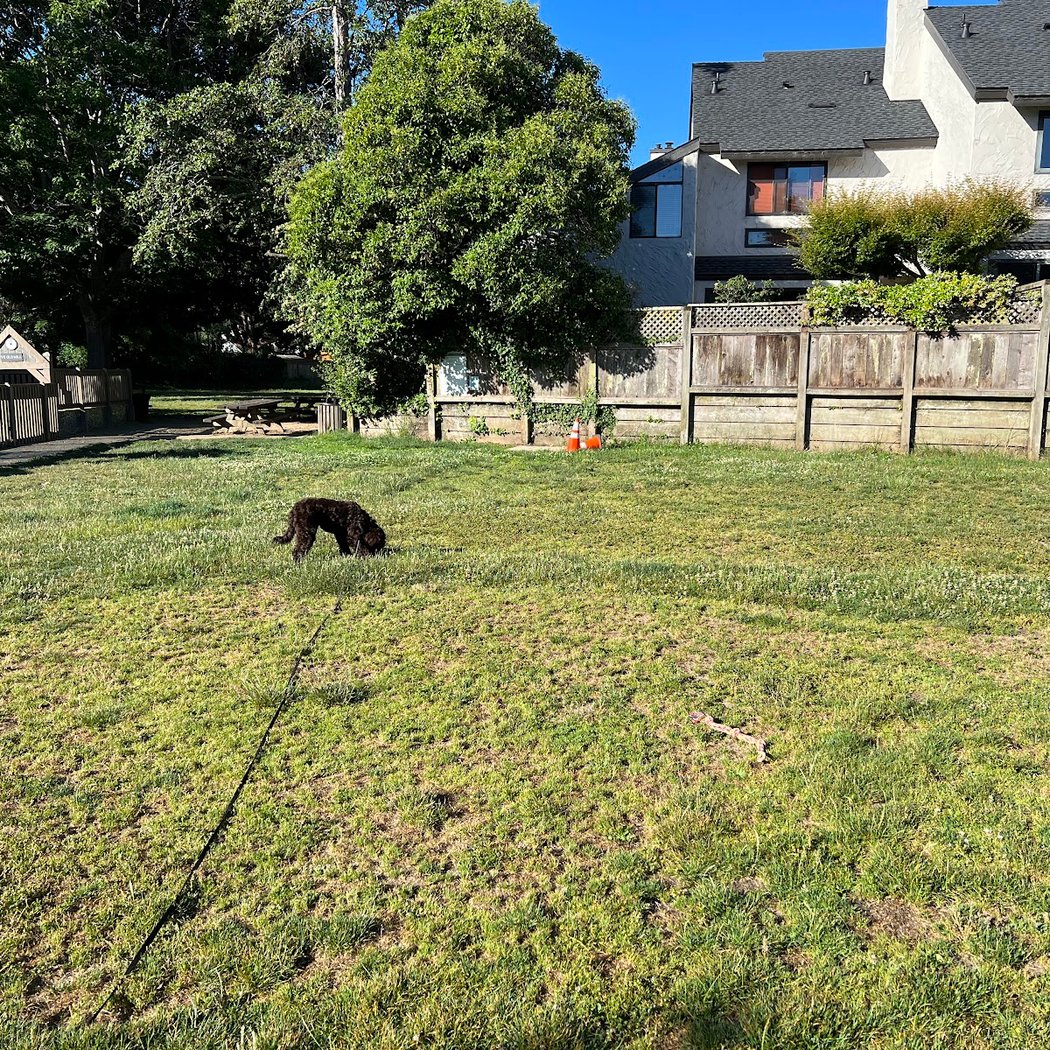 Sycamore Park 3