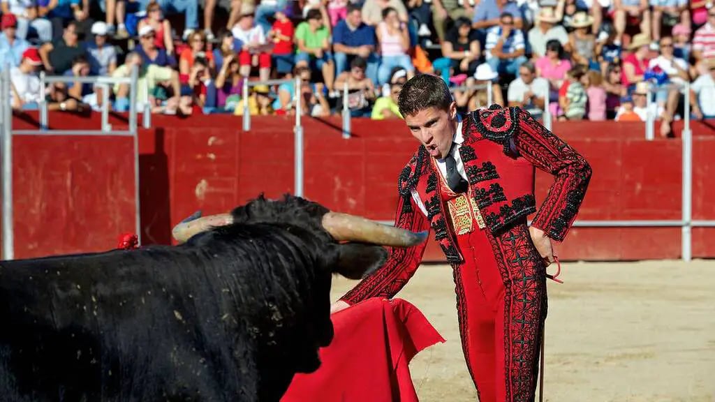 Ferias de Saint-Vincent-de-Tyrosse 1
