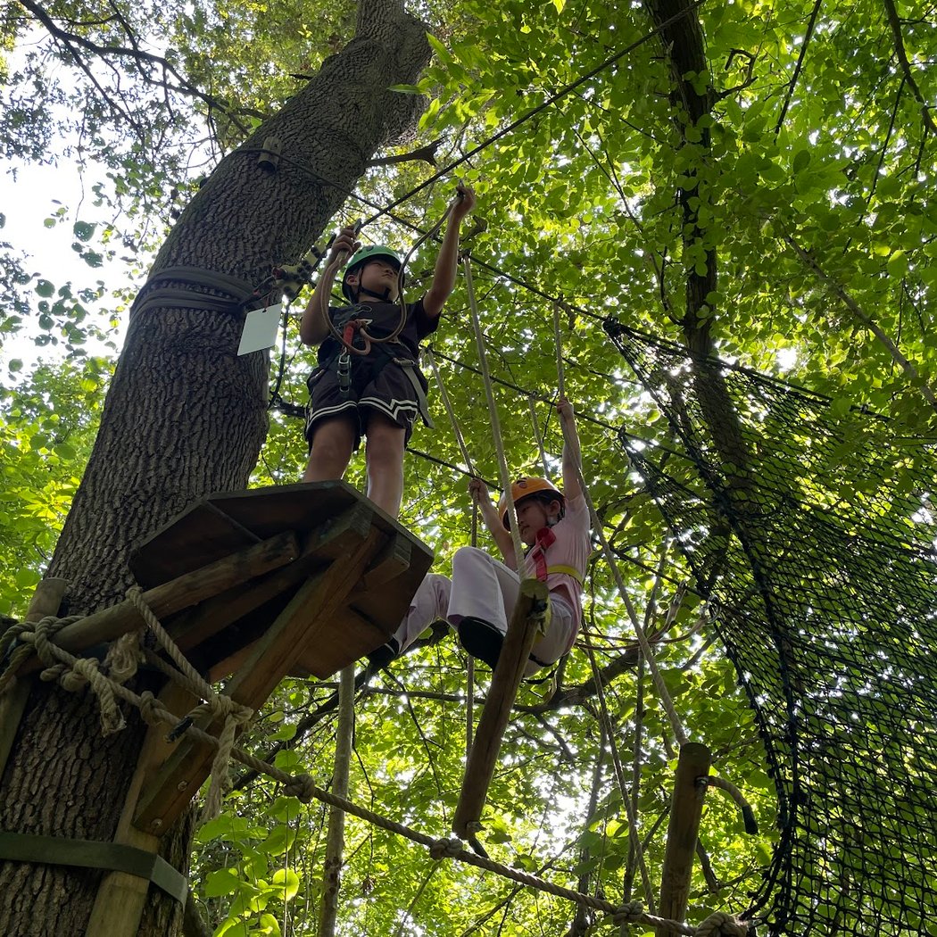 La Foret des Vert'tiges 2