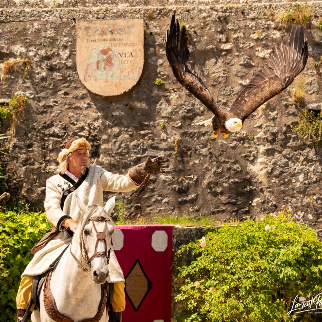 La Fauconnerie à cheval 3
