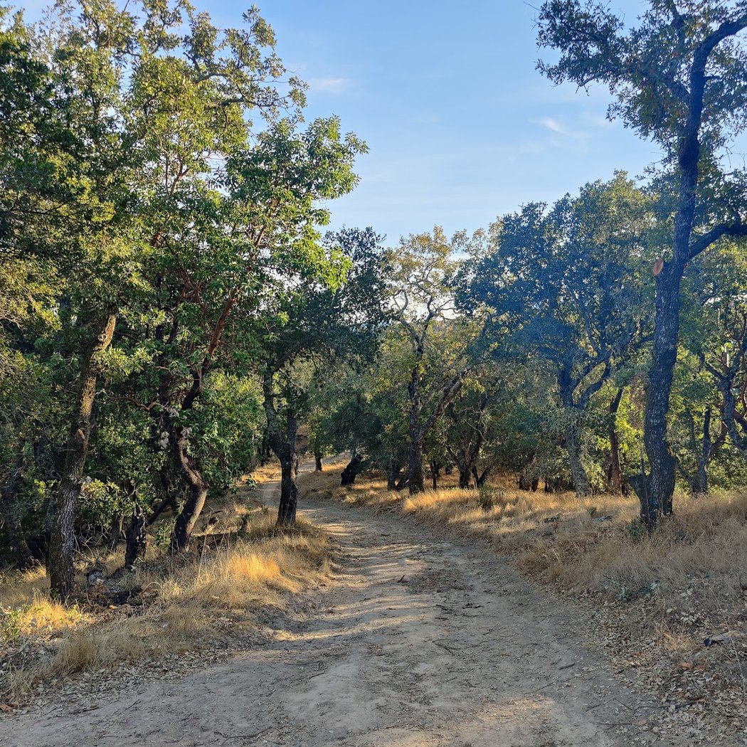 Pacheco Valley Preserve 1