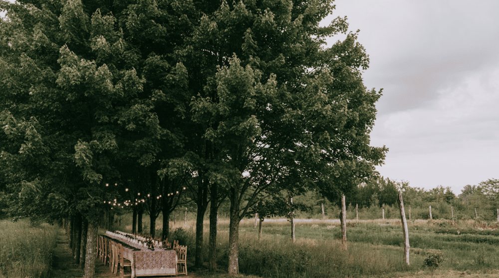 Clay at Wildflower Farms 2