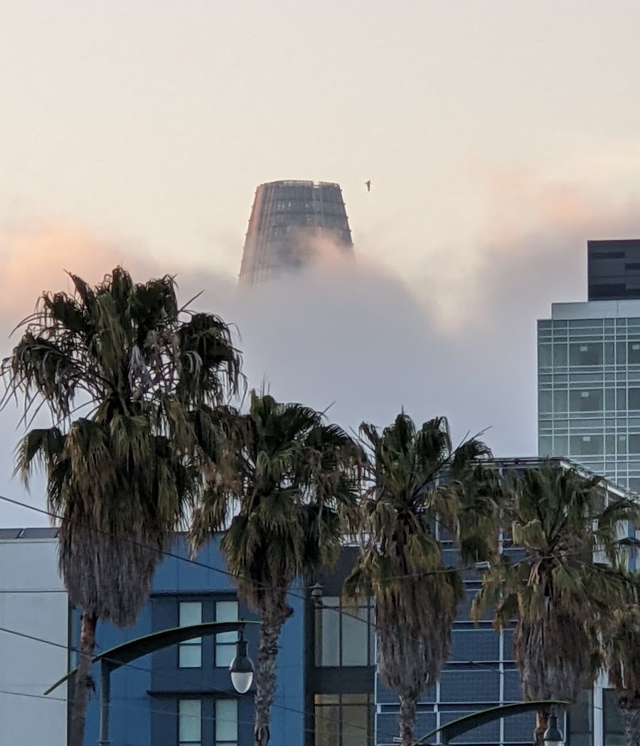 Dogpatch 2