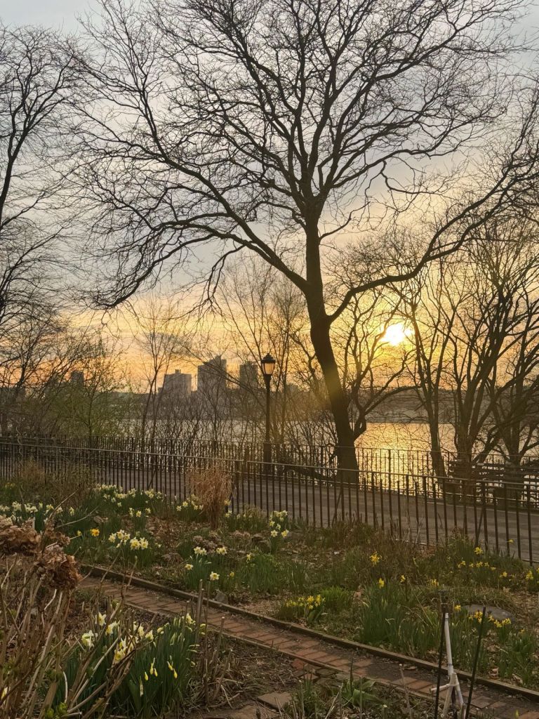 Riverside Park 2
