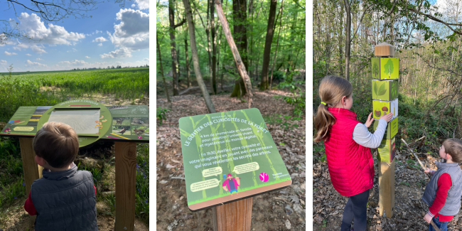 Forêt Départementale des Grands Bois 1