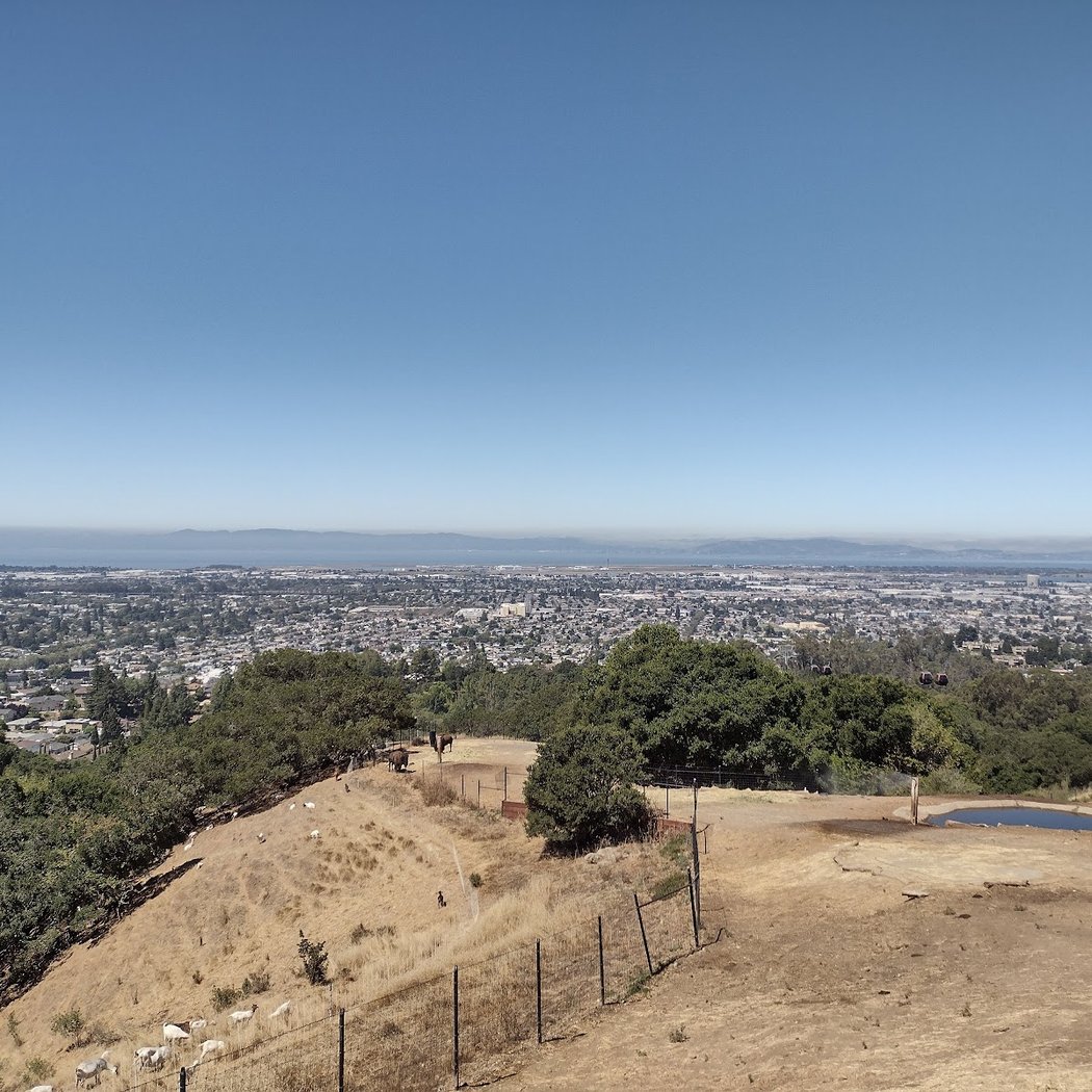 California Trail at Oakland Zoo 3