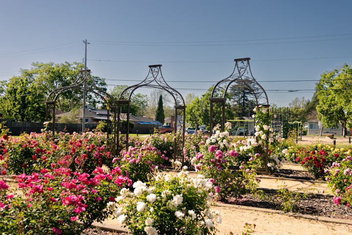 Community Park 1 4