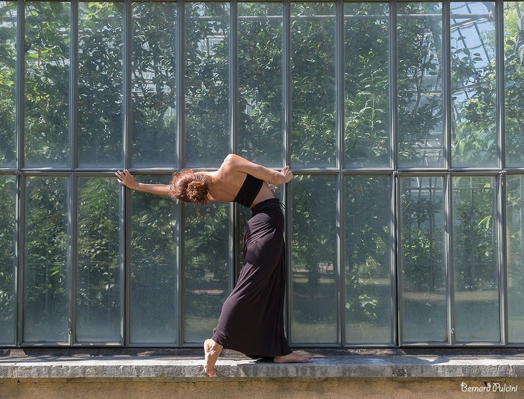 Arts Circuit [ La Danse En Mouvement ] 2