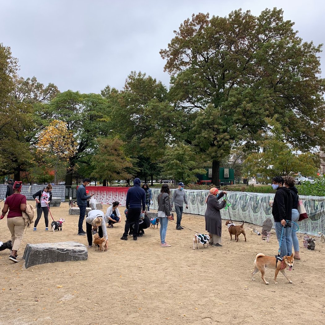 Bronx River Park Dog Run 3
