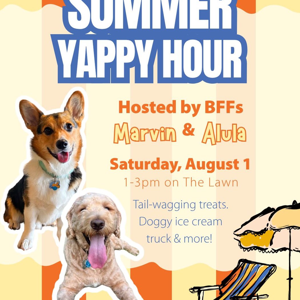 Summer Yappy Hour 1