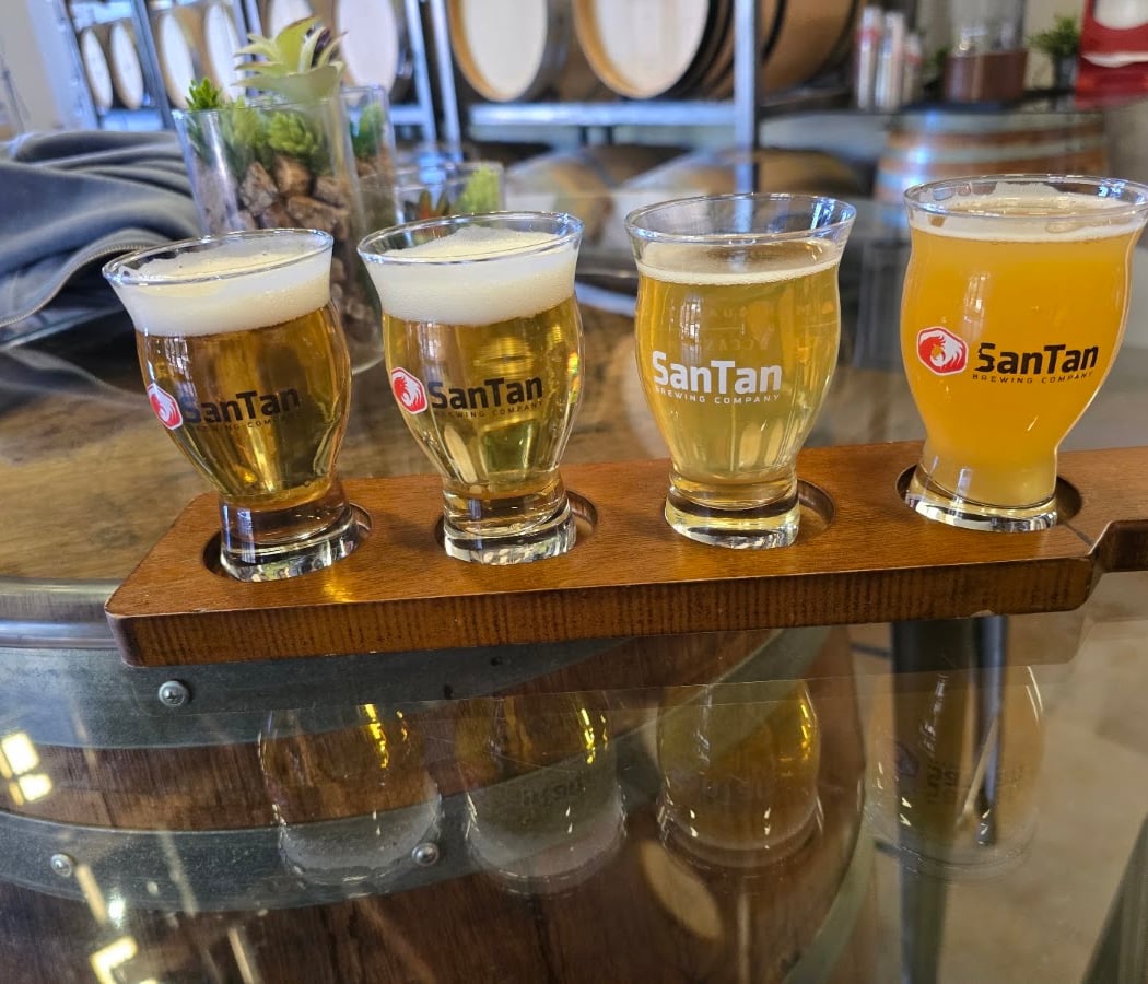 Local Musicians on Tap 1
