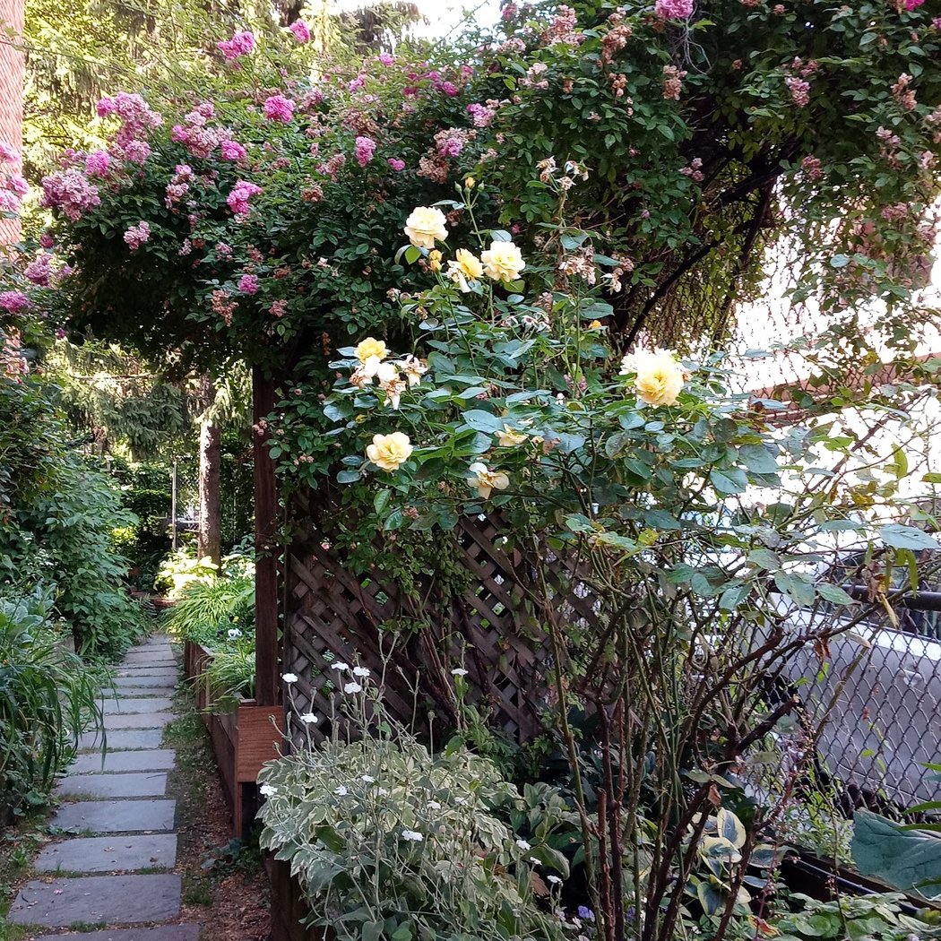 FishBridge Park Garden 2