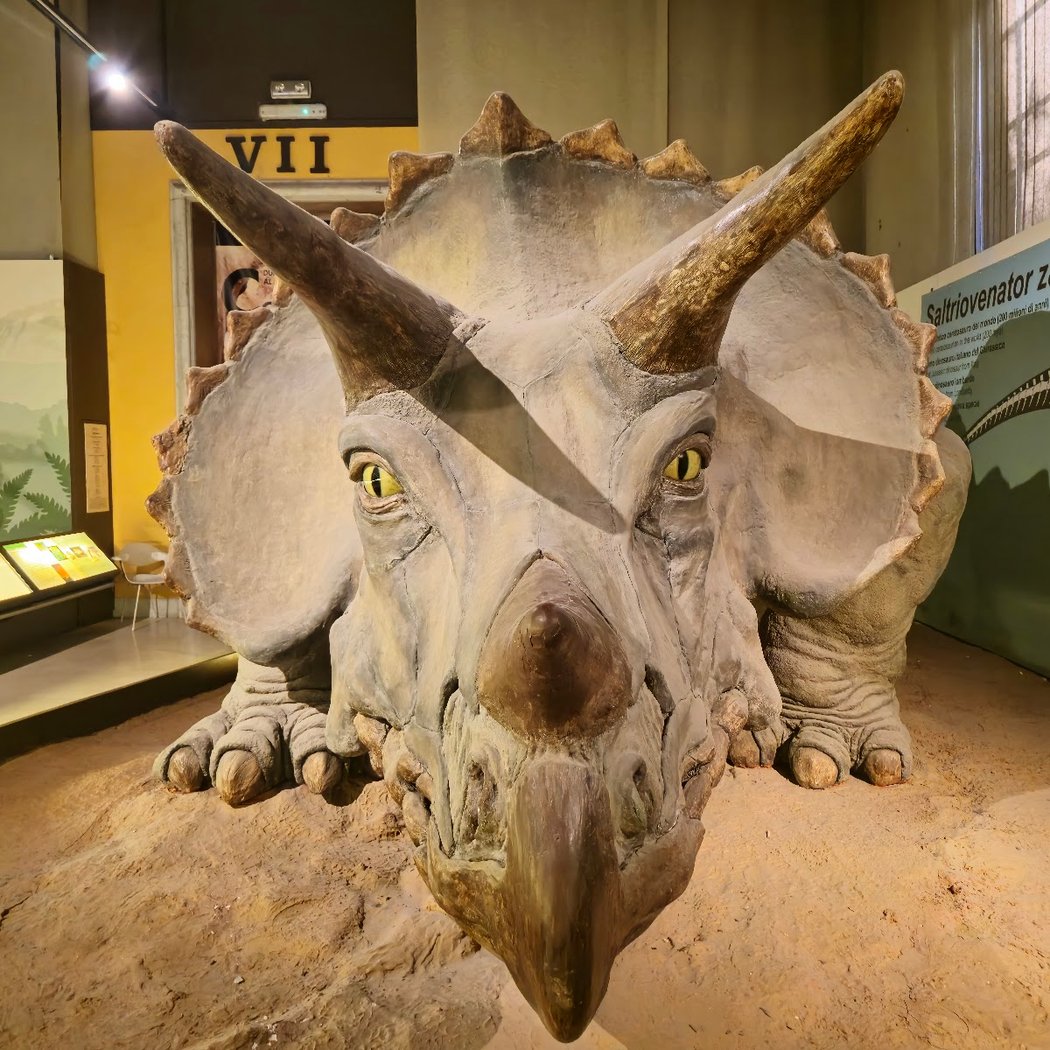 Milan Natural History Museum