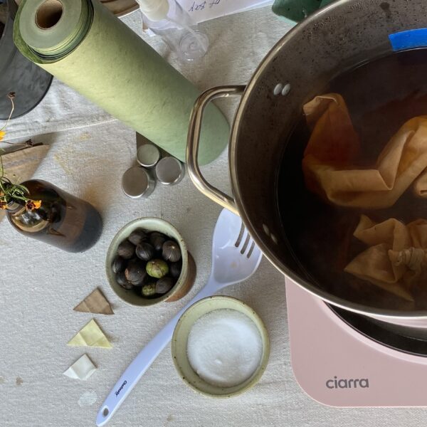 Create Natural Dyes Workshop 1