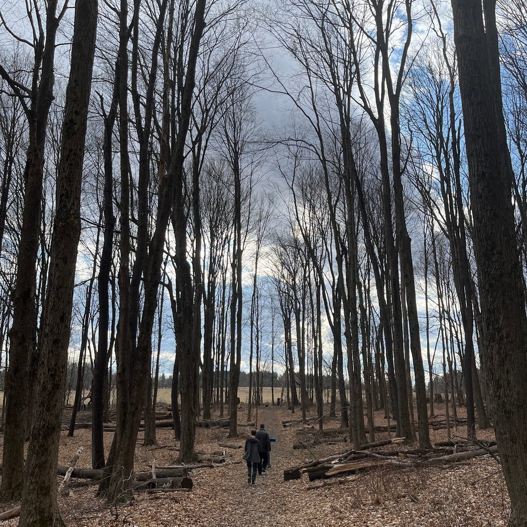 Martin Van Buren Nature Trail 2