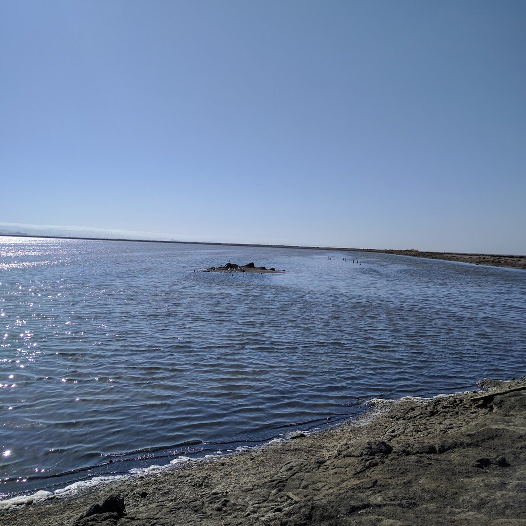 Ravenswood Point 2