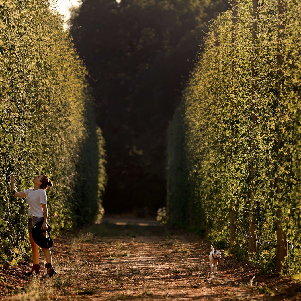 Exclusive Beer Dinner with Pairing