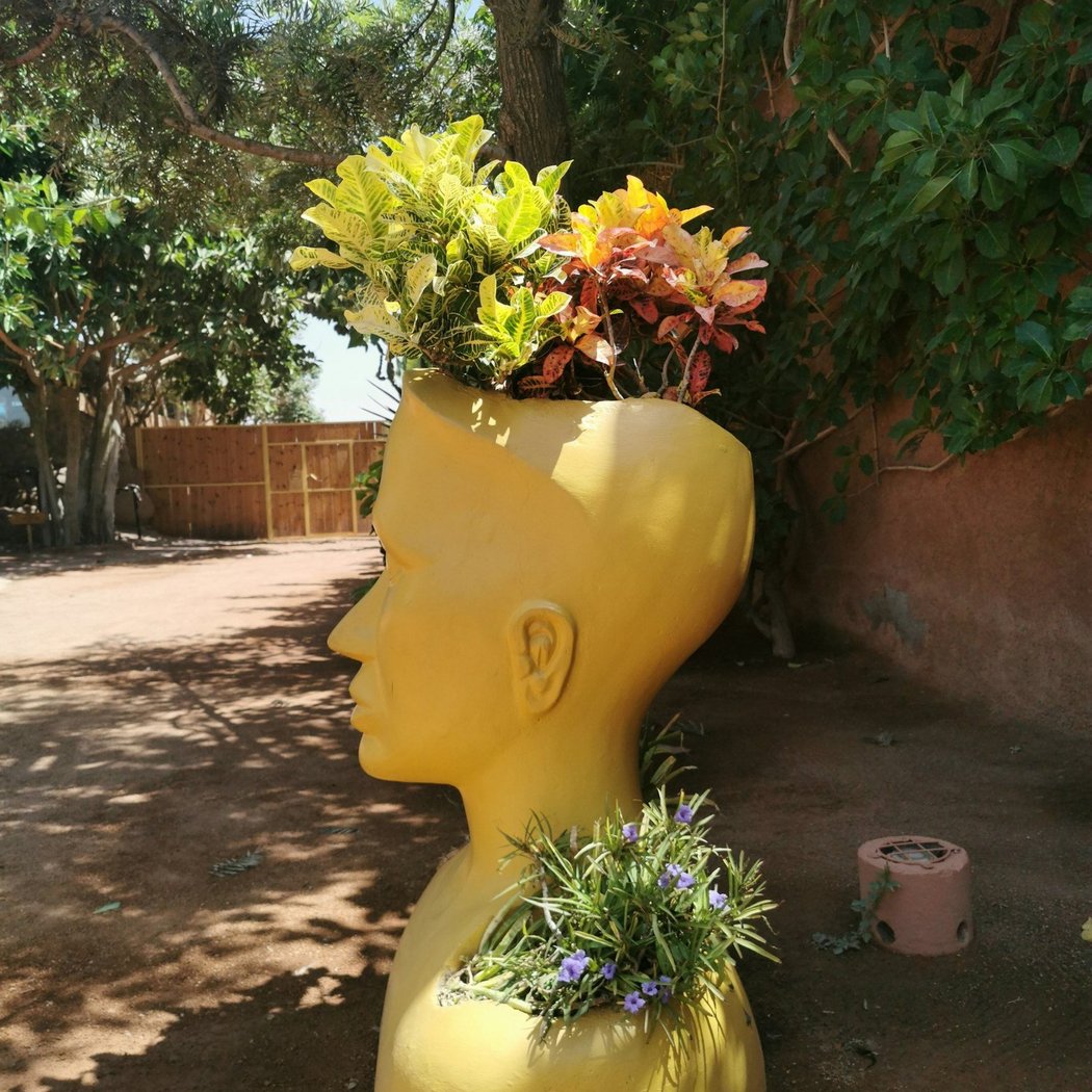 Meditation + Nervous System Reset 2